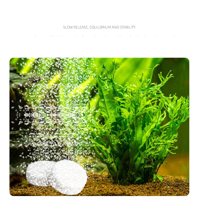 ISTA  Fish Tank Aquarium CO2 T - Planted Aquarium Without Fish recension och pris