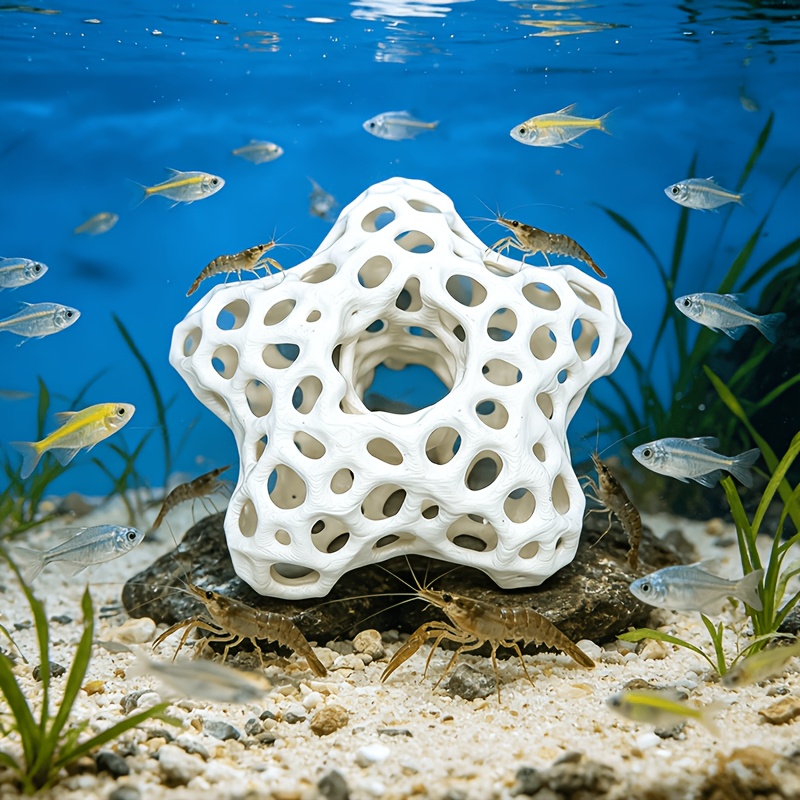 Hollowed-out Five-Pointed Star - Planted Aquarium Without Fish recension och pris