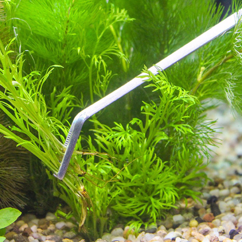 Professional Aquarium Maintena - Planted Aquarium Maintenance Kit recension och pris