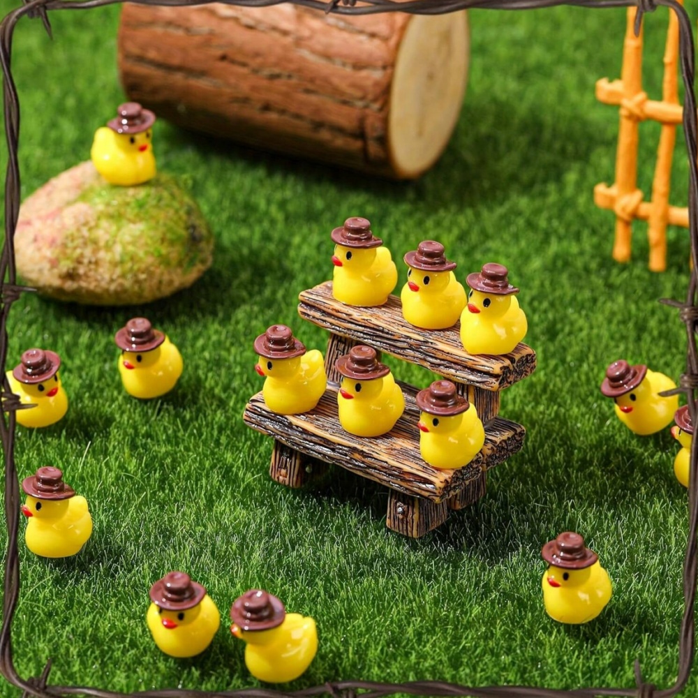 50Pcs Mini Resin Cowboy Ducks  - Aquarium Planting Ideas recension och pris