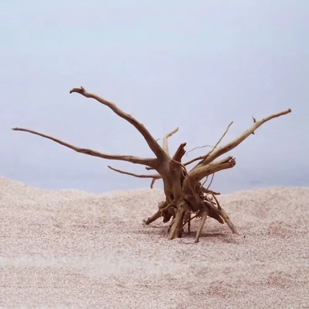 15-20CM Natural Driftwood Aqua - Aquarium Planting Ideas recension och pris
