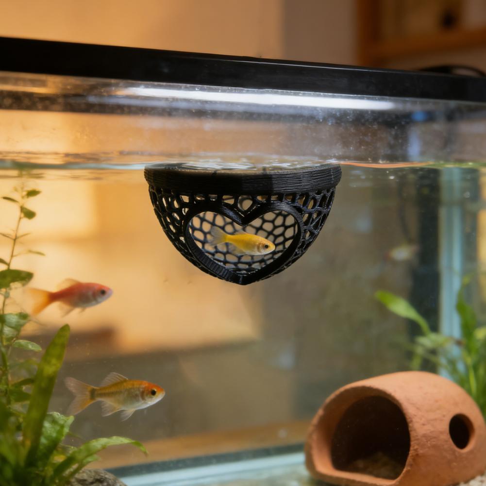 Heart-Shaped Aquarium Hideaway - Planted Aquarium Without Fish recension och pris