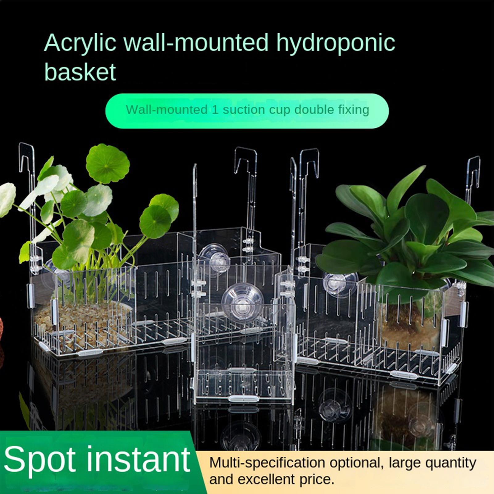 Acrylic Aquarium Plant Holder  - Aquarium Plant Vine recension och pris