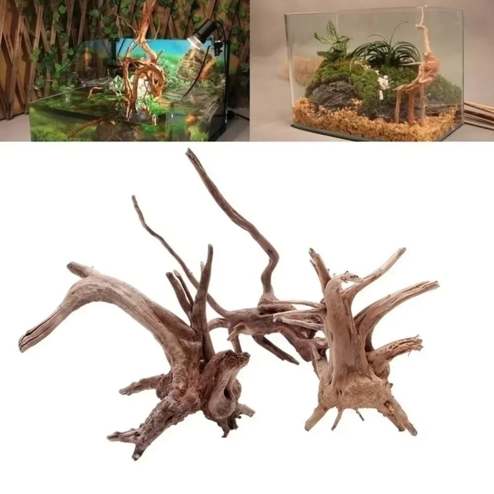 （15-20cm） Natural Driftwood Aq - Aquarium Planting Ideas recension och pris