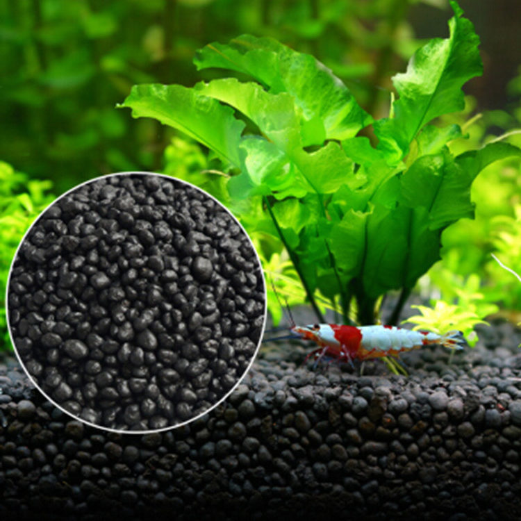 Aquarium Plant Seeds Soil Fish - Aquarium Planting Ideas recension och pris