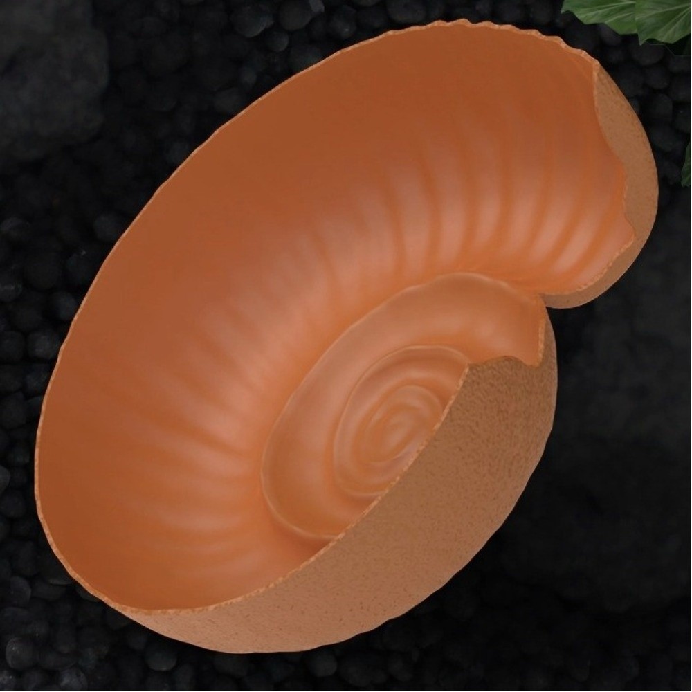 Ammonite Shape Reptile Hidden  - Aquarium Planting Ideas recension och pris